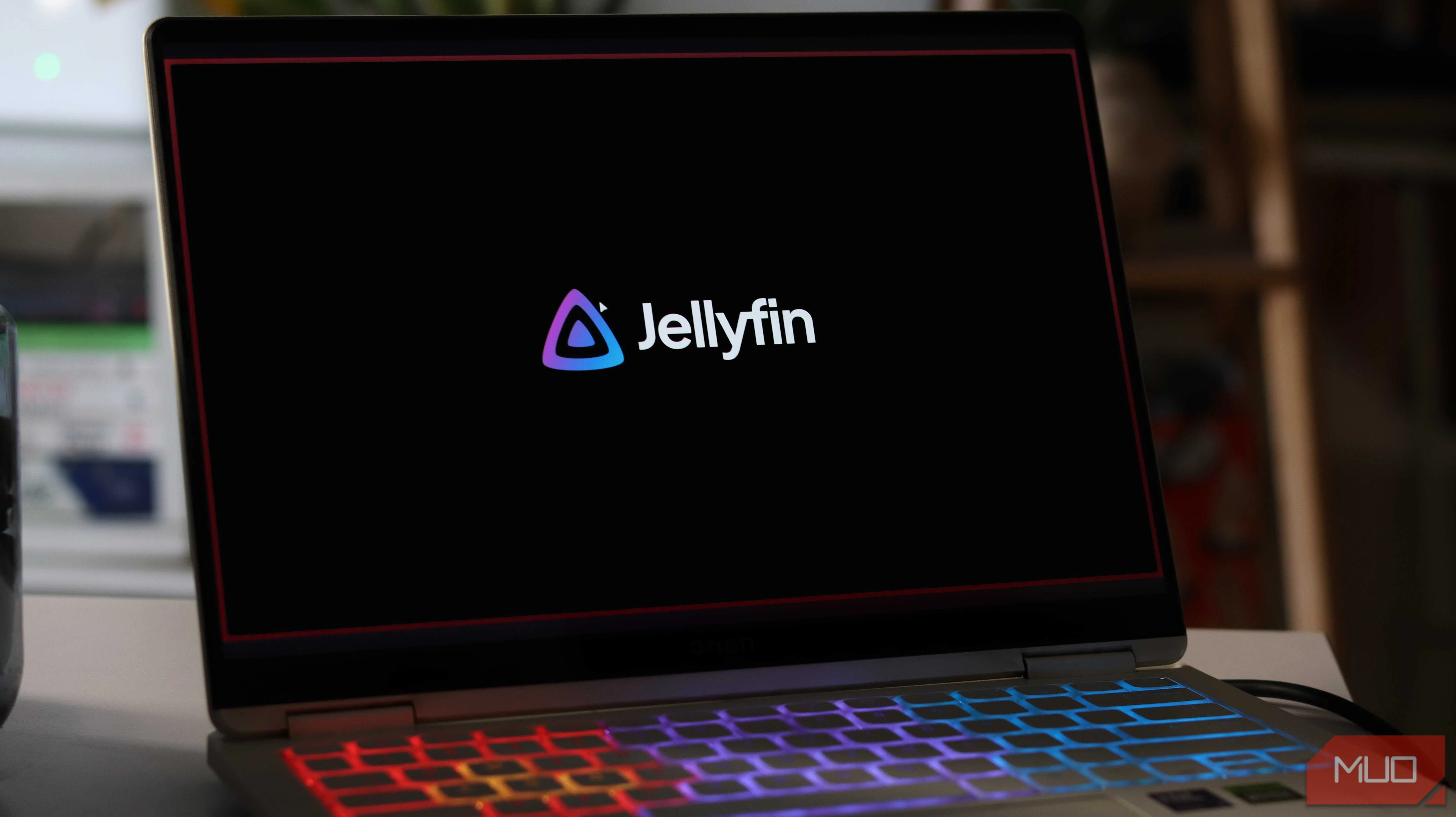 Jellyfin running on Windows 11 laptop.