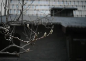 AWS Weekly Roundup: Amazon Bedrock agent workflows, Amazon SageMaker private connectivity, and more (February 2, 2026)